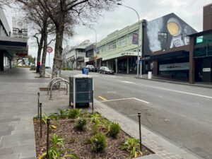 New Plymouth CBD gets a green facelift as ageing alders make way for natives - Taranaki Media IMG 2515 1 - Taranaki Media