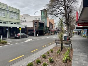 New Plymouth CBD gets a green facelift as ageing alders make way for natives - Taranaki Media IMG 2519 2 - Taranaki Media