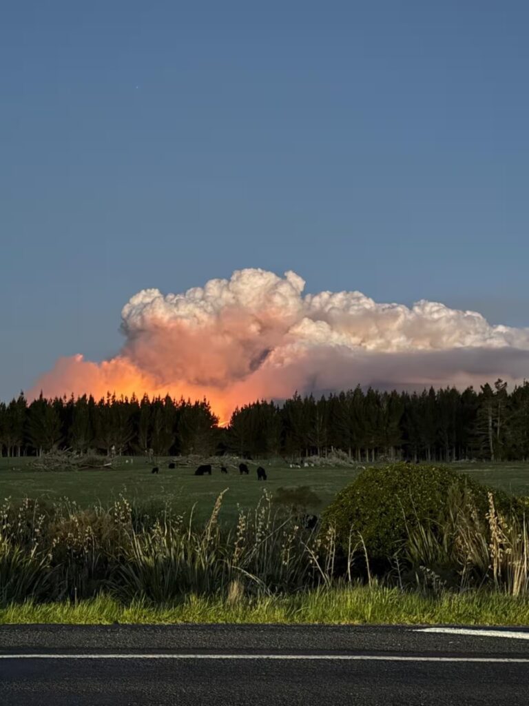 Tongariro Wildfire