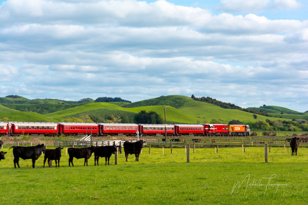 Calling all Taranaki gin lovers - get your friends together for the ultimate gin experience on February 27th - Taranaki Media tour 2 1 - Taranaki Media